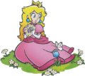 Princess Peach holding nine flowers