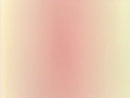 The beige screen error