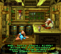 Kiddy Kong talking to Bramble in his bungalow from Donkey Kong Country 3: Dixie Kong's Double Trouble!