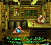 Bramble's Bungalow DKC3.png