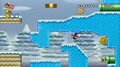 New Super Mario Bros. Wii