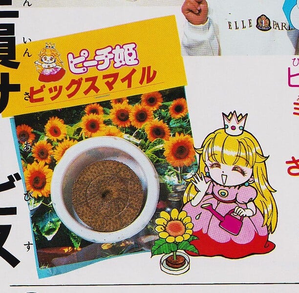 File:Peach Sunflowers.jpg