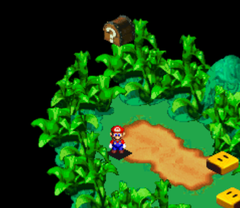 First Treasure in Rose Way of Super Mario RPG: Legend of the Seven Stars.