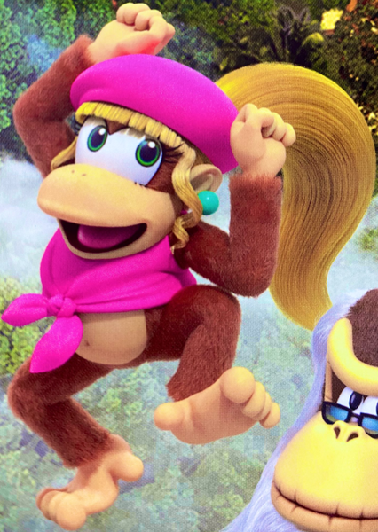 File:SNW Bag Dixie Kong.png