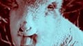 Thumbnail for version as of 21:16, August 22, 2026