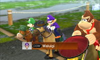 Waluigi riding on a horse in Pro difficulty from Mario Sports Superstars