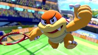 Boom Boom from Mario Tennis Aces