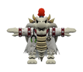 Dr. Dry Bowser