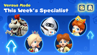 Thirteenth week's specialists