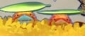 Small Croakaokes