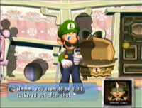 Luigi'shadow in a glitch which appears as if Luigi is hanging