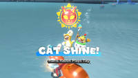 Collecting a Cat Shine in Bowser's Fury