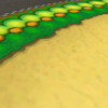 Off-road terrain in Mario Kart: Double Dash!!