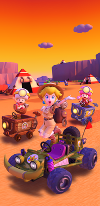 The Sunset Tour from Mario Kart Tour.