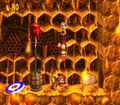 The Kongs hanging from the hidden hook to the right of the End of Level Target.