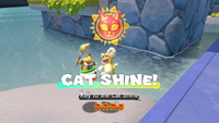 Collecting a Cat Shine in Bowser's Fury