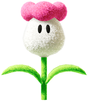 Egg Plant