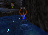 A set of blue Bananas in Crystal Caves.