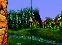 A set of blue Bananas in Fungi Forest.