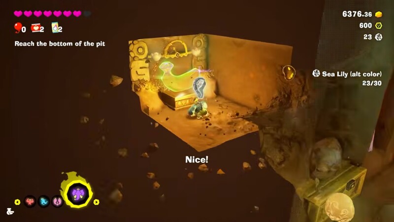 File:DKB A Rare Treasure.jpg