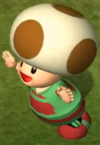 Team Donkey Kong's Toad From Super Mario Strikers.