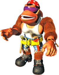 Funky Artwork - Donkey Kong Country 3.png
