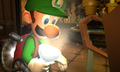 Luigi staring into the Strobulb.