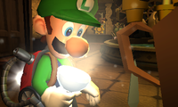 Luigi looking into his new improved torch. The strobulb.