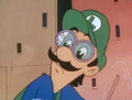 Luigi's goggles error