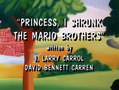 "Princess, I Shrunk the Mario Brothers"