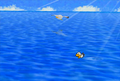 Jr. Troopa Swimming After Mario.png
