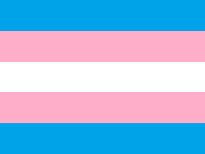 File:TransgenderPrideFlag.png
