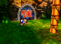 DK64 Jungle Japes Chunky Coin 1.png
