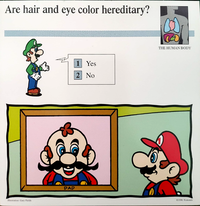 A card from Mario Quiz Cards featuring Papa Mario's portrait