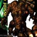 Donkey Kong Country