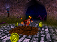 A 5-Banana Coin and 3 yellow Banana Coins on DK Isles.