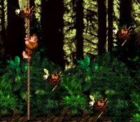 Donkey Kong in Forest Frenzy in Donkey Kong Country.