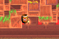 The location of the Warp Barrel in Lava Lagoon in the Game Boy Advance version