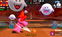 MGWT Birdo Bowsers Castle.png