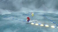 NM SMO Koopas Trace-Walking.jpg