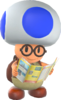 Rendered model of Hint Toad in Super Mario Odyssey.