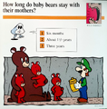"How long do baby bears stay with their mothers?"
