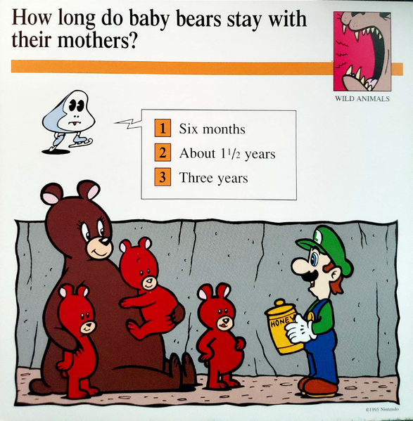 File:Baby bears quiz card.png