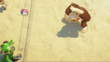 Donkey Kong, Vector, and Daisy playing Beach Volleyball.