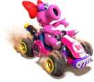 3. Birdo