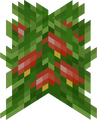 Sweet Berry Bush (age 3)
