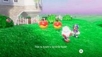Fruits in Super Mario Odyssey