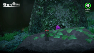 In an alcove behind a capture-able rock in the Deep Woods (northern area).