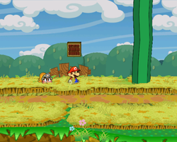 Third ? Block in Petal Meadows of Paper Mario: The Thousand-Year Door.