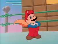 Cape Mario in the Super Mario World animated series.